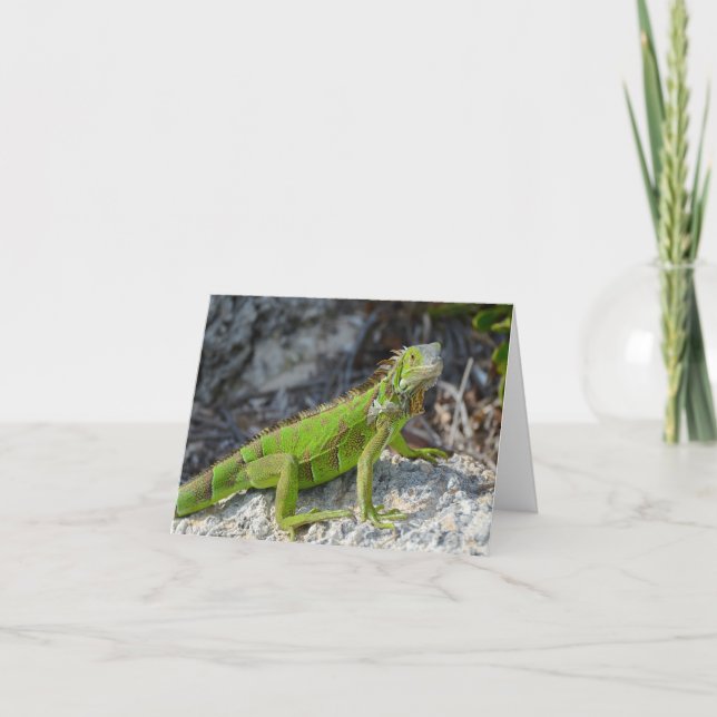 Iguana say I miss you greeting Card (Front)