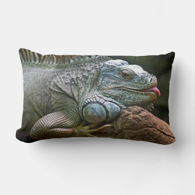 Iguana throw pillow (Front)