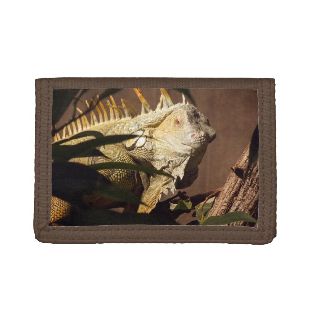 Iguana Trifold Wallet (Front)
