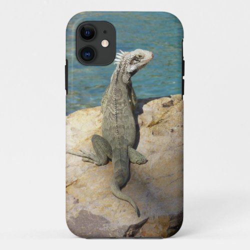 Iguana Tropical Wildlife Photography at St Thomas iPhone 11 Case
