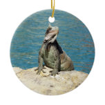 Iguana Tropical Wildlife Photography at St. Thomas Ceramic Ornament