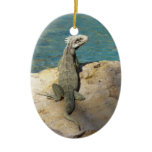 Iguana Tropical Wildlife Photography at St. Thomas Ceramic Ornament