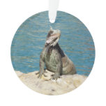 Iguana Tropical Wildlife Photography at St. Thomas Ornament