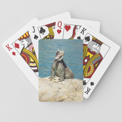 Iguana Tropical Wildlife Photography at St Thomas Poker Cards