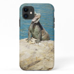 Iguana Tropical Wildlife Photography iPhone 11 Case