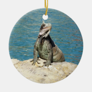 Iguana Tropical Wildlife Photography Ceramic Ornament