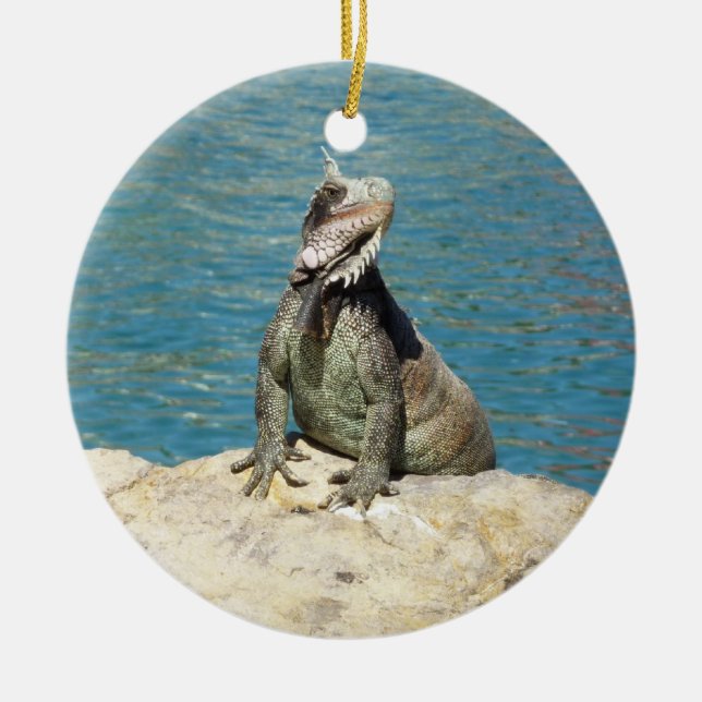 Iguana Tropical Wildlife Photography Ceramic Ornament (Front)