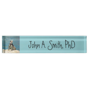 Iguana Tropical Wildlife Photography Desk Name Plate