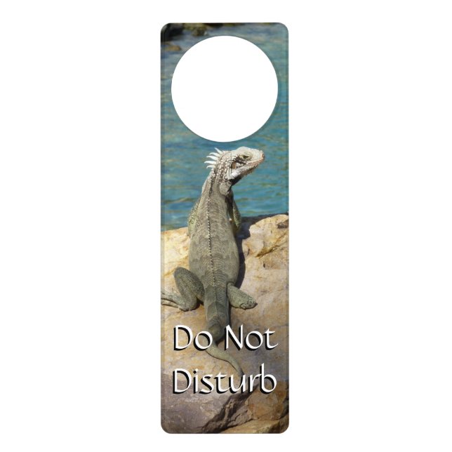 Iguana Tropical Wildlife Photography Door Hanger (Front)