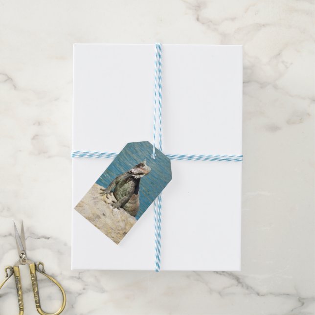 Iguana Tropical Wildlife Photography Gift Tags (With Twine)