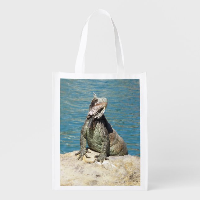 Iguana Tropical Wildlife Photography Grocery Bag (Front)