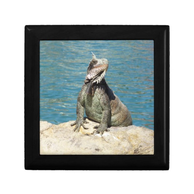 Iguana Tropical Wildlife Photography Keepsake Box (Front)