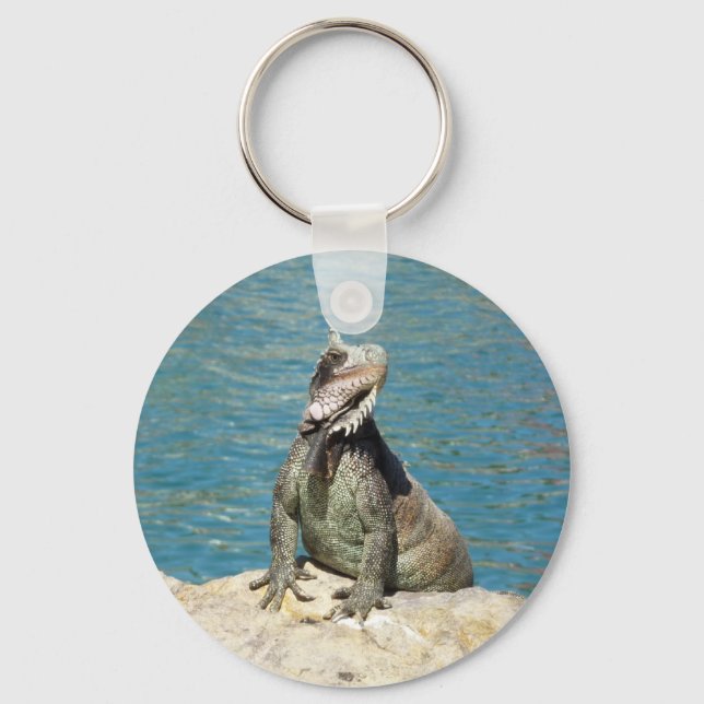 Iguana Tropical Wildlife Photography Keychain (Front)