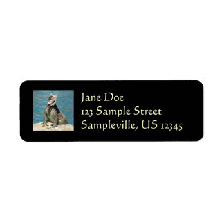 Iguana Tropical Wildlife Photography Label