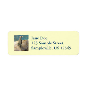Iguana Tropical Wildlife Photography Label