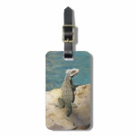 Iguana Tropical Wildlife Photography Luggage Tag