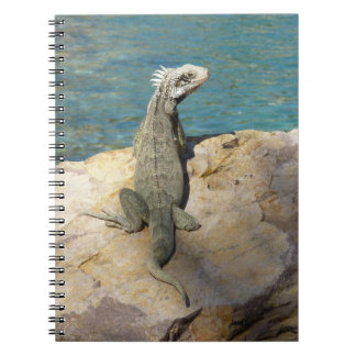 Iguana Tropical Wildlife Photography Notebook