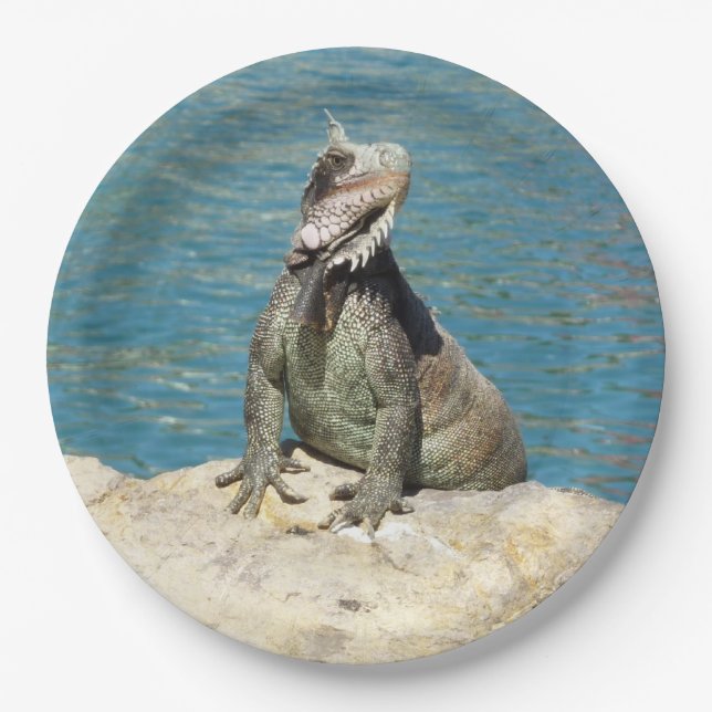 Iguana Tropical Wildlife Photography Paper Plates (Front)