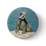 Iguana Tropical Wildlife Photography Pinback Button