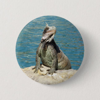 Iguana Tropical Wildlife Photography Pinback Button