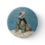 Iguana Tropical Wildlife Photography Pinback Button