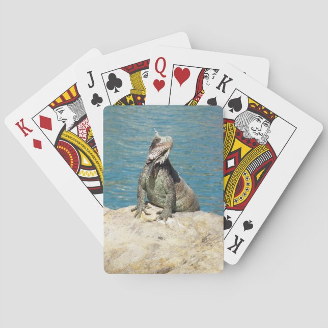 Iguana Tropical Wildlife Photography Poker Cards (Back)