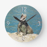 Iguana Tropical Wildlife Photography Round Clock
