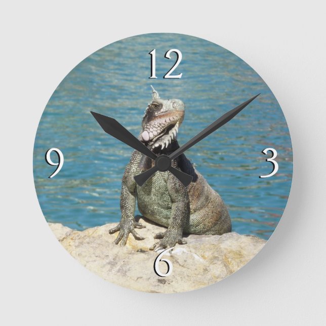 Iguana Tropical Wildlife Photography Round Clock (Front)