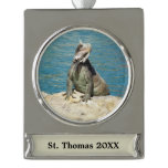 Iguana Tropical Wildlife Photography Silver Plated Banner Ornament