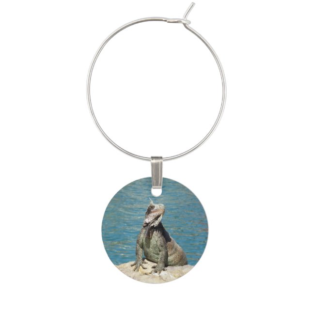 Iguana Tropical Wildlife Photography Wine Charm (Front)