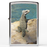 Iguana Tropical Wildlife Photography Zippo Lighter