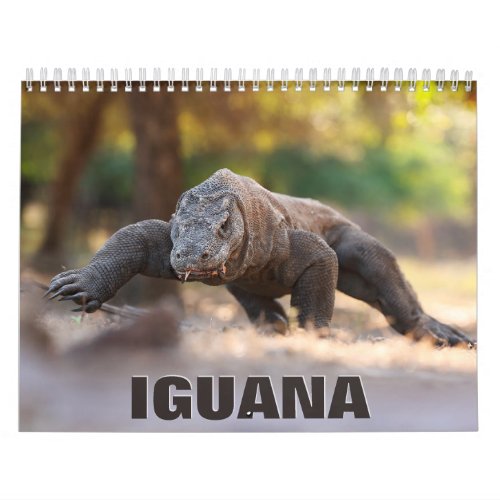 Iguana Wall Calendar