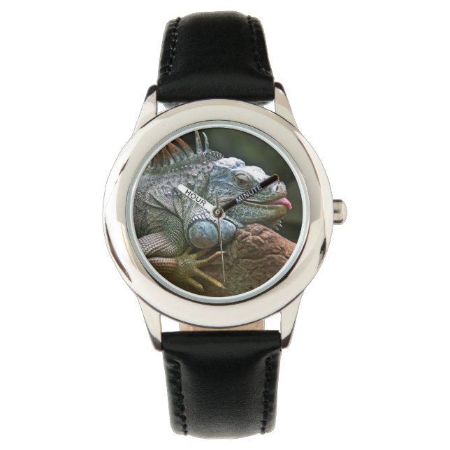 Iguana watches (Front)