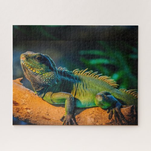 Iguana Wildlife Jigsaw Puzzle