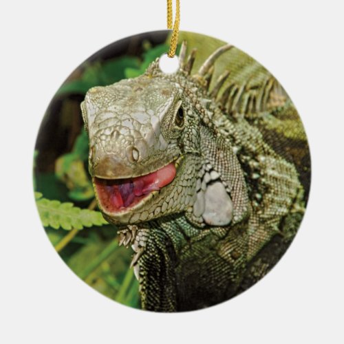 Iguanas hanging gift ornaments