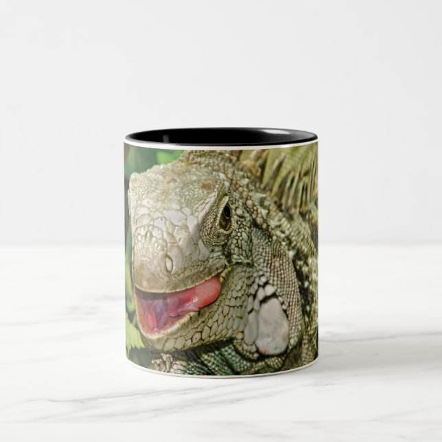 Iguanas Two-Tone Coffee Mug (Center)