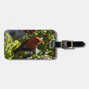 'I'iwi on a Lehua Blossom Luggage Tag