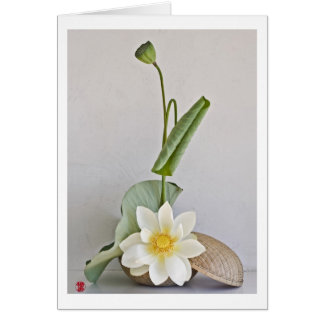 Ikebana-042 Cards
