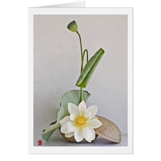 Ikebana-042 Cards (Front)