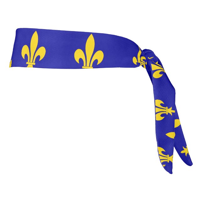 Ile de france flag Headband (Rotate 90)