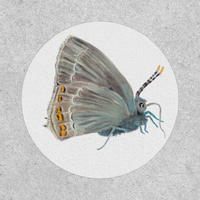 Ilex Hairstreak Butterfly Satyrium ilicis  Patch (Front)