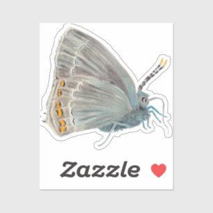 Ilex Hairstreak Butterfly Satyrium ilicis Sticker
