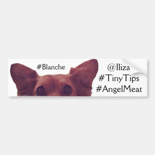 Iliza Shlesinger Blanche Bumper Sticker