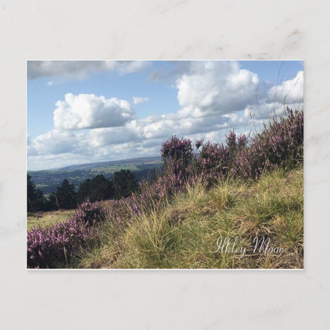 Ilkley Moor Postcard (Front)