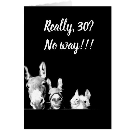 **I'LL BE A DONKEY'S UNCLE** YOU CAN'T BE *30* CARDS (Front)
