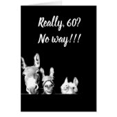 **I'LL BE A DONKEY'S UNCLE** YOU CAN'T BE ***60*** (Front)