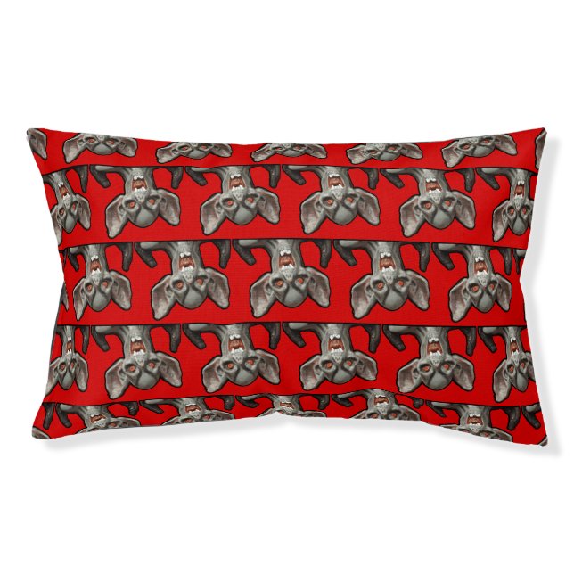 I'll be waiting. . . pet bed (Front)