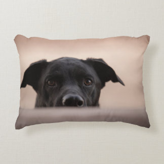 I'll Be Watching You Accent Pillow