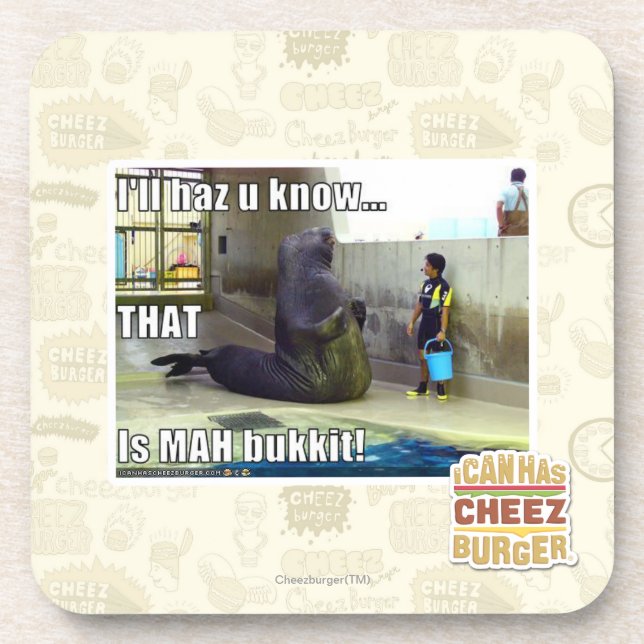 I'll haz u know beverage coaster (Front)