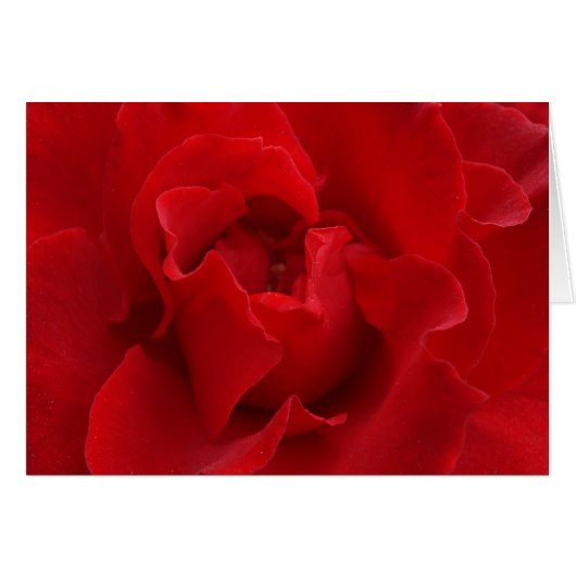 I'll Love You Always (Front Horizontal)